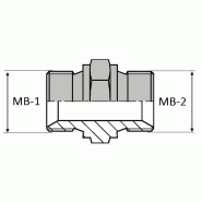 Adaptateur droit mâle BSP - UMBSPCT 1/8 / 1/8 - BUM0000202