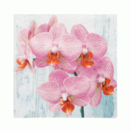 Papstar 200 serviettes, 3 plis, pliage 1/4, 33 cm x 33 cm "Phalaenopsis" - rose papier 89486