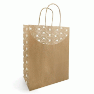 Sac kraft lisse Evidence poignées torsadées 18x8x22cm - par 50