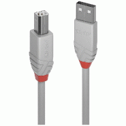LINDY Câble USB USB 2.0 USB-A Mâle, USB-B Mâle 5,00 m Gris 36685 - 4002888366854