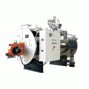 Chaudières vapeur NBWB - Production de 250 à 2500 kg/h - Haute efficacité énergétique