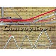 Convoyeur aérien monorail à chaîne dédié au domaine de la peinture et des lignes de finition avec tunnel de traitement de surface - sur mesure