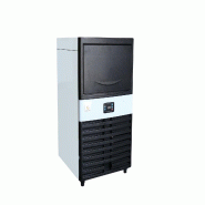 Gasfrit - Machine à glace 40 kg/jour - argenté inox gf604 Gasfrit - Machine à glace 40 kg/jour - argenté inox gf604