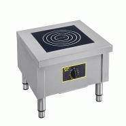 Roller Grill Réchaud induction électrique forte puissance ELR 8 XLI Roller Grill - gris inox ELR 8 XLI