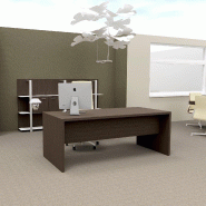 Bureau de direction T45 coloris Orme - Quadrifoglio - 200, Eucalyptus