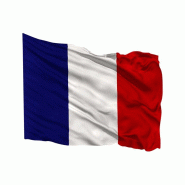 Drapeau France - Base polyester 3 fils - 115 g/m² - Equipé d'anneaux nylon - Fabriqué en France
