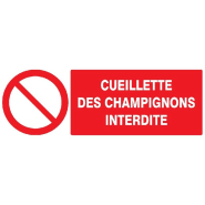 Panneaux rigides 330x200 mm obligations interdictions - PNGPSC-TL10/ICPP_0