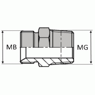 Adaptateur droit mâle BSP pour bague BS x mâle gaz conique - MBSPCT1/8 - MGCO1/8