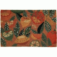 Paillasson en fibres de coco Agrumes 60 x 40 cm Sil - multicolore 5024418606970 Paillasson en fibres de coco Agrumes 60 x 40 cm Sil - multicolore 5024418606970