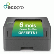 Brother HL-L2400DWE imprimante laser 1200 x 1200 DPI A4 Wifi