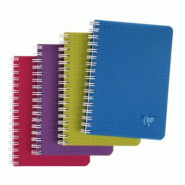 Clairefontaine Lot de 10 Carnet Linicolor Intensive 9x14, 100p./50 feuilles 90 g/m² reliure intégrale, couv. Polypro assortis, quadrillé 5x5 - 3329