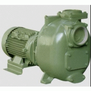Pompe centrifuge auto-amorçante série s 960 tr/min s300 Pompe centrifuge auto-amorçante série s 960 tr/min s300
