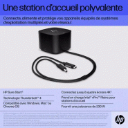 Station daccueil HP Thunderbolt 280 W G4 avec cble combo