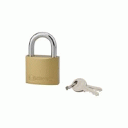 Cadenas à clé, intérieur, 50 mm, anse acier cémenté, 2 clés - THIRARD - doré 3150261800509 Cadenas à clé, intérieur, 50 mm, anse acier cémenté, 2 clés - THIRARD - doré 3150261800509
