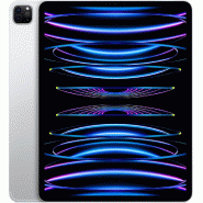 IPad Pro 13 2To Wifi (2024) - Argent