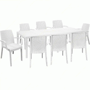 Ensemble de 8 fauteuils Indiana Sicignano avec table rectangulaire Queen en rotin blanc 220 x 90 cm - blanc plastique polypropylène 8050054388991