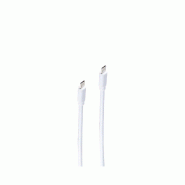 Shiverpeaks Câble USB 3.1 BASIC-S, C mâle - C mâle, 1,5 m - blanc 4017538079244