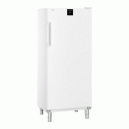 Armoire froid négatif 1 porte 610x536mm Liebherr FFFSG5501