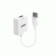 Lindy 38146 Convertisseur HDMI vers DisplayPort jusqu'à 4K, 3840x2160 HDMI 2160p - 38146