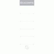 Exacompta Paquet de 10 étiquettes autocollantes pour dos classeur à levier 70mm - 3130630053781