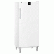Armoire réfrigérée négative blanche - Statique SmartFrost - 289 L | Liebherr - FFFsg 5501 Performance