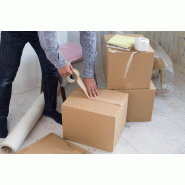 Kraft adhésif standard - 331516 – 75 mm x 50 m_0