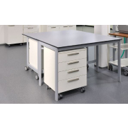 Meuble de laboratoire sur roulettes stable et polyvalente  idéale pour le stockage mobile d'appareils et de produits chimiques