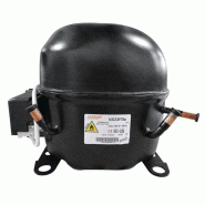 Compresseur R290-NX23FBa compatible avec appareil POLAR DB843 Compresseur R290-NX23FBa compatible avec appareil POLAR DB843