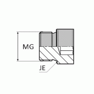 Bouchon mâle gaz cylindrique 6 pans creux Forme E - 1"1/4' , 41.91