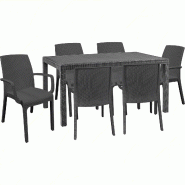 Ensemble de 6 fauteuils avec table rectangulaire en rotin 150x90 cm Noir - noir plastique polypropylène 8050054388946