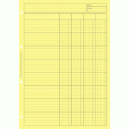 Bloc audit 4 colonnes - A4 - 80 feuilles - 3416790026415