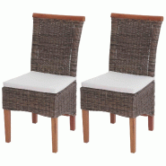 Décoshop26 - Ensemble de 2 chaises de salle à manger en rotin naturel avec structure en acajou et coussins d'assise 04_0000257 - 3000012332691