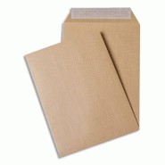 GPV Lot de 10 Paquet de 10 pochettes Pack'n Post kraft armé brun 229x324/C4, 120 g/m², adhésives avec bande - 3250650380213