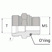 Droit mâle 24° serie gaz x mâle SAE - 9/16' , 14.28 , 20X150 , 13.25