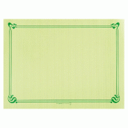 Set de table en pure cellulose 48g/m2 vert anis avec liseré 31x43cm - par 2000