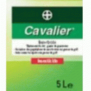 Protection insecticide cavalier