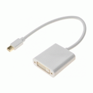 Convertisseur minidisplayport vers dvi-d 127449