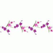 Chemin de table Romance orchidées 30cm x 5m