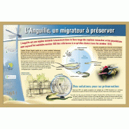 Création graphique pour la signalétique