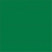 García de Pou Garcia de Pou 700 Unités - Serviettes 55 G/M2 40X40 Cm Vert Jaguar Airlaid - textile 166.09 García de Pou Garcia de Pou 700 Unités - Serviettes 55 G/M2 40X40 Cm Vert Jaguar Airlaid - textile 166.09