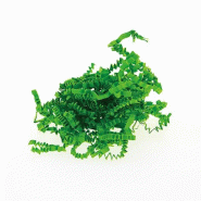 Frisure de papier 10kg vert - Frisure de papier 10kg vert -