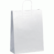 Sac kraft argent poignées torsadées 25x10x32cm- par 100
