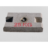 Masse 25 kg pour essai de palans et ponts roulants - 250 x 500 x 90mm - REF2220025