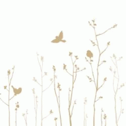 Serviettes 33 x 33cm joyeuse nature dore (240 unités) MESA BELLA - beige Matériau naturel 3701168951650 Serviettes 33 x 33cm joyeuse nature dore (240 unités) MESA BELLA - beige Matériau naturel 3701168951650