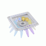 Rotor PCR, 12x1,5/2 ml + 32x0,2 ml, MiniFuge-GD06 - Ref.: GDF008 Rotor PCR, 12x1,5/2 ml + 32x0,2 ml, MiniFuge-GD06 - Ref.: GDF008