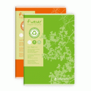 Calligraphe Lot de 10 Cahier Forever A4, 96p./48 feuilles 70 g/m² piquées, Séyès - 3210330171234