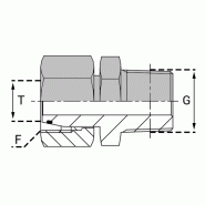 Adaptateurs Pré-serti BSP (Whitworth) - Conique - FTCO 04LL/1/8 EQ - 4.0mm - 1/8' - 08x100