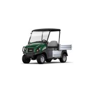 Voiturette electrique 2 places cargo 500 porte-tout