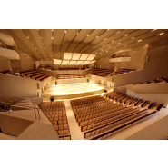 Fauteuil pour salle de spectacle