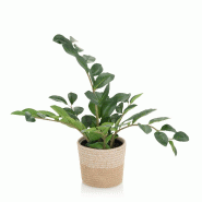 Plante artificielle / Arbre artificiel GLÜCKSFEDER Zamioculcas vert hjh OFFICE - vert multi-matériau 871008